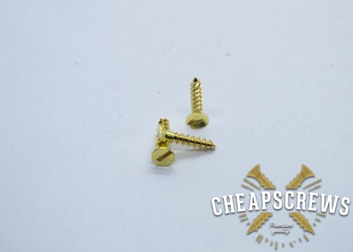 Solid brass screw slotted - screw,