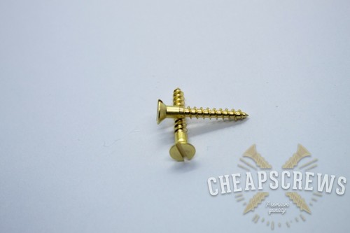Solid brass screw slotted - screw,