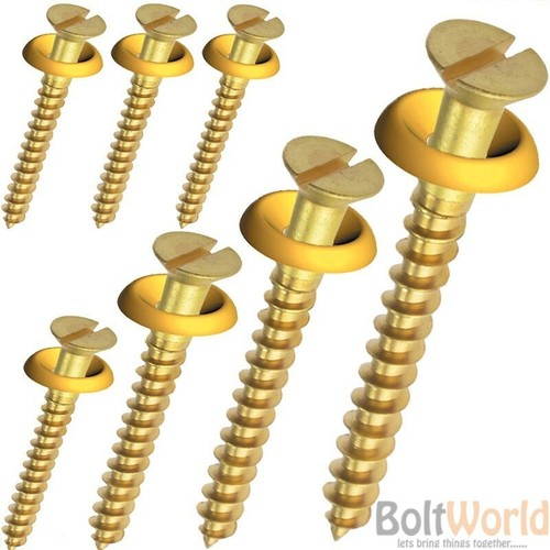 Solid brass slotted flat head - brass,